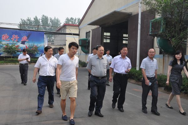 国家林业局发展规划与资金管理司副司长孙建一行到我市开展木材经营加工许可制度改革调研
