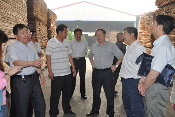 国家林业局发展规划与资金管理司副司长孙建一行到我市开展木材经营加工许可制度改革调研