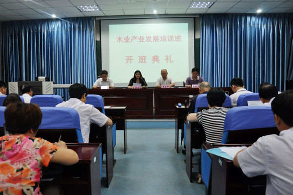 全市现代木业产业发展专题培训班在南京林业大学成功举办