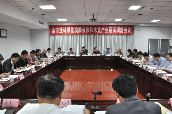 全市造林绿化观摩会议和木业产业招商调度会议召开