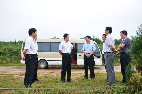 省林业厅副厅长吴庆刚到我市调研国有林场改革发展工作
