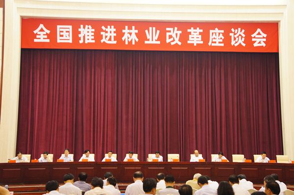 市委常委、副市长尹长友在全国推进林业改革座谈会上作典型发言