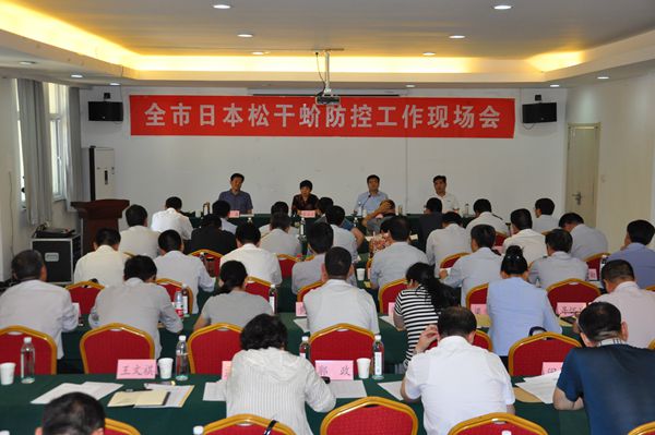 全市日本松干蚧防控工作紧急会议召开