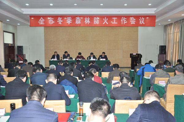 全市冬季森林防火工作会议召开