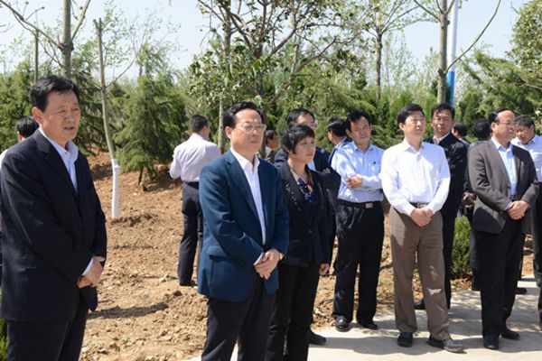 山东省山区国土绿化现场会在我市召开
