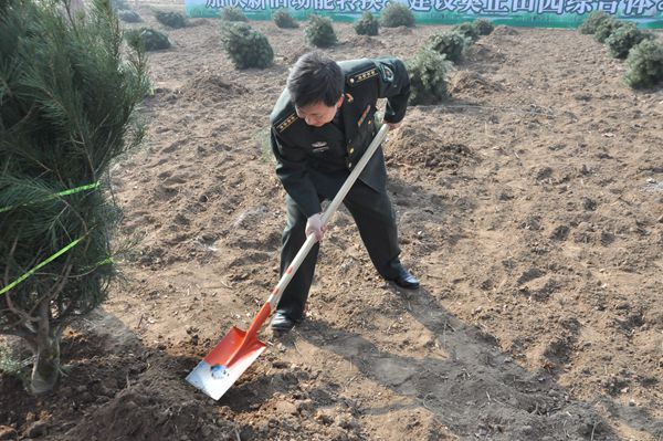 市委书记王玉君等市领导参加义务植树活动