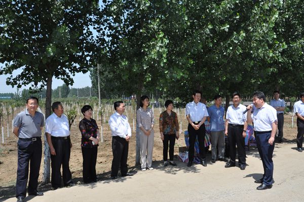 市人大开展“一法一条例”执法检查和环城生态防护林带建设视察