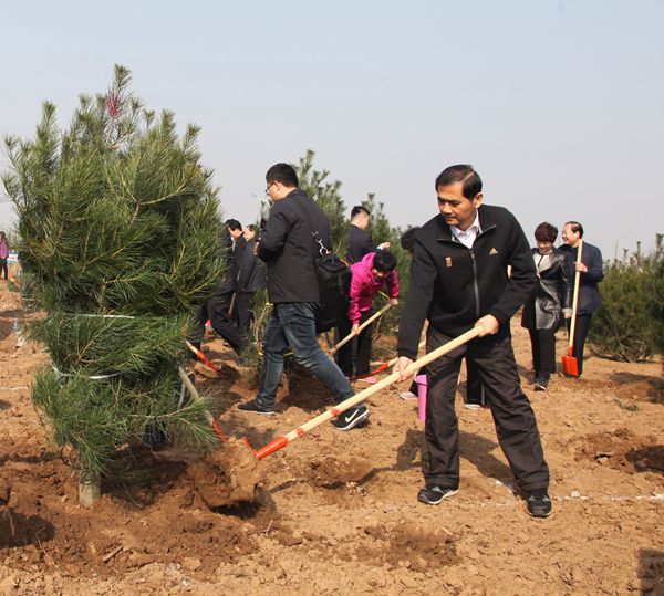 市委书记王玉君等市领导参加义务植树活动