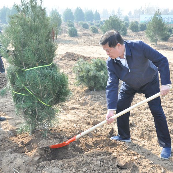 市委书记王玉君等市领导参加义务植树活动