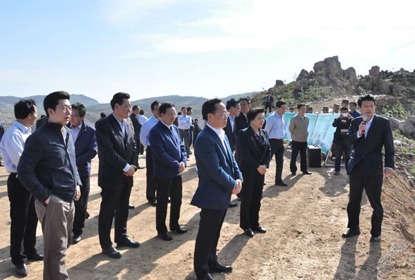 山东省山区国土绿化现场会在我市召开