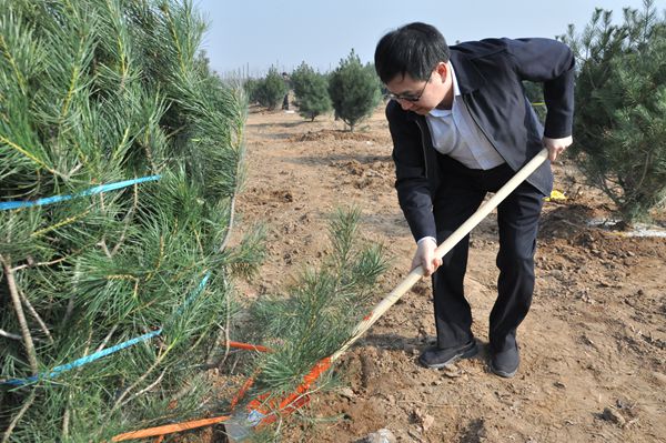 市委书记王玉君等市领导参加义务植树活动