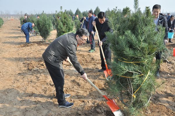市委书记王玉君等市领导参加义务植树活动