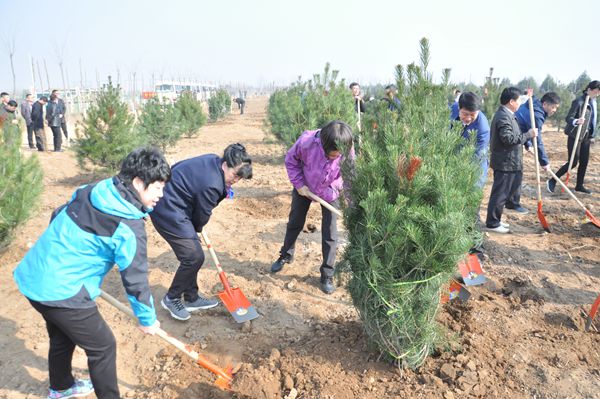 市委书记王玉君等市领导参加义务植树活动