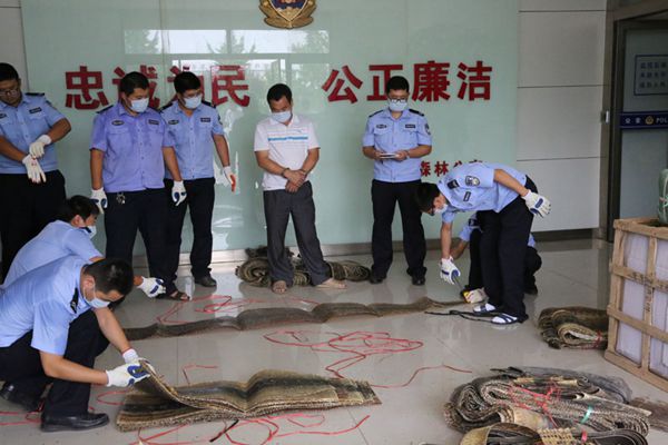 我市破获一起特大非法收购、出售珍贵、濒危野生动物制品案