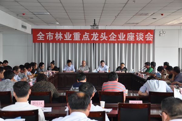 全市林业重点龙头企业座谈会召开