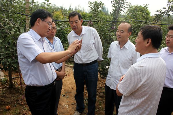 省林业厅副厅长王太明来我市调研经济林工作