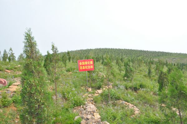 市直部门单位包荒山绿化工作现场推进会在蒙阴召开