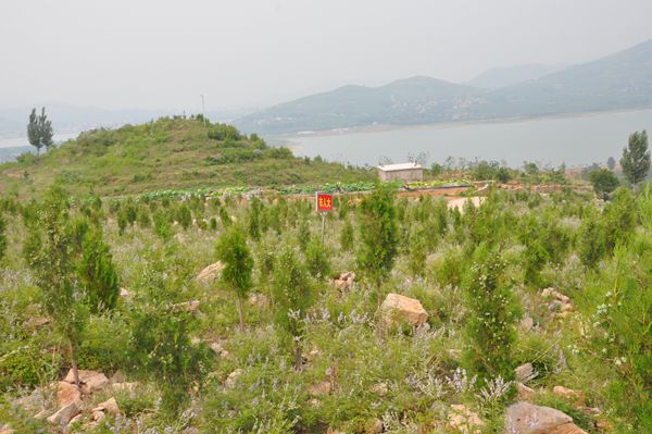 市直部门单位包荒山绿化工作现场推进会在蒙阴召开