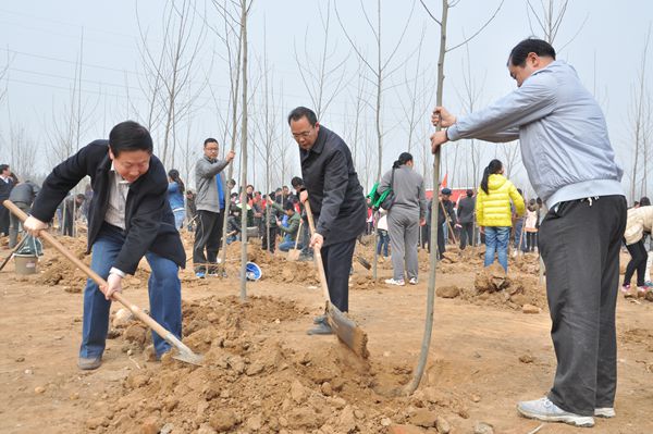 我市全民义务植树碳汇造林公益活动渐入高潮