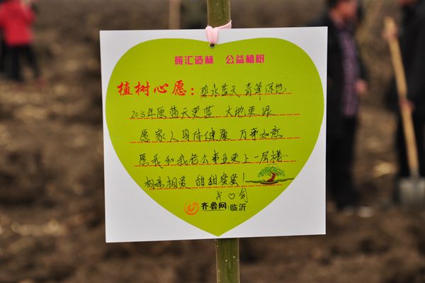 我市全民义务植树碳汇造林公益活动渐入高潮
