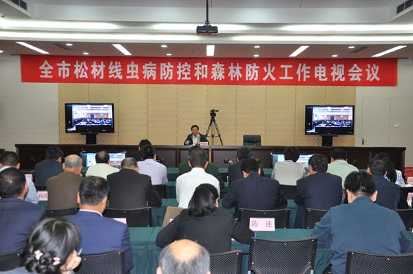 我市召开全市松材线虫病防控和森林防火工作电视会议