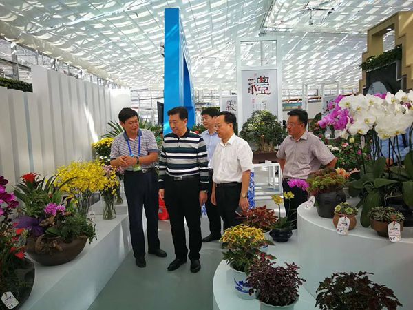我市在第九届中国花卉博览会上获佳绩