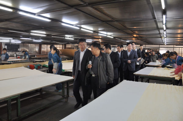 市人大调研督办国家林产工业科技示范园区建设推进情况